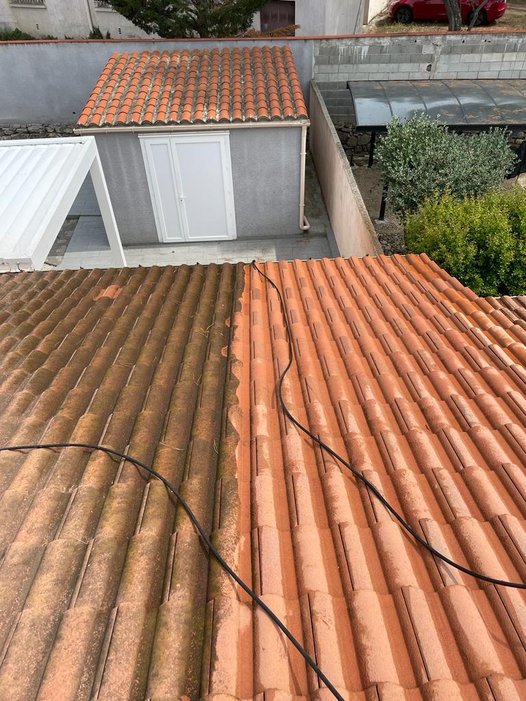 PHOTO 2024 11 22 03 13 01 3