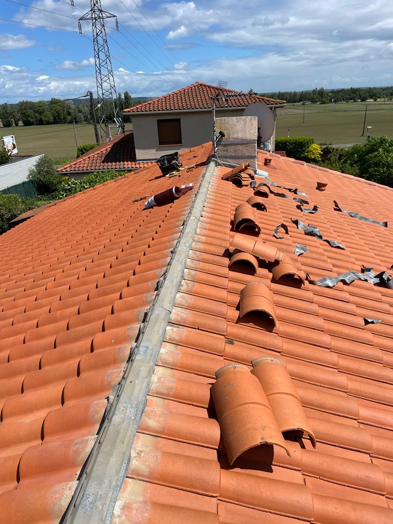 PHOTO 2024 11 22 03 13 01 4