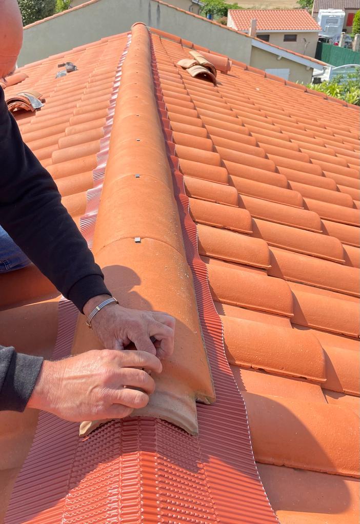 PHOTO 2024 11 22 03 13 01 5