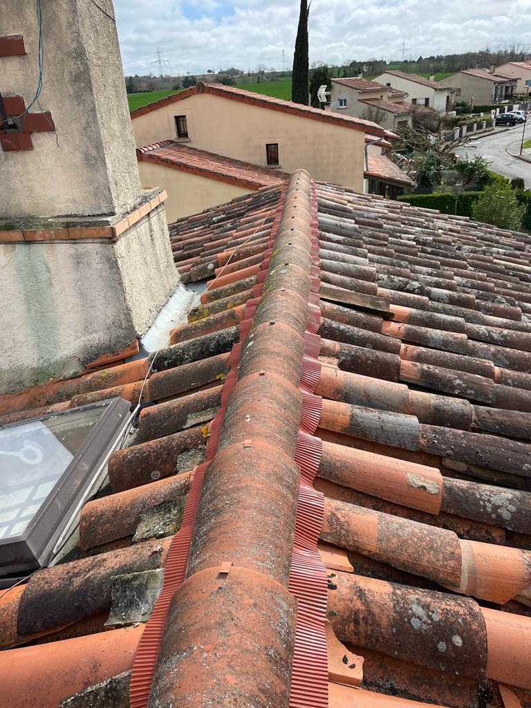 PHOTO 2024 11 22 03 13 02 4