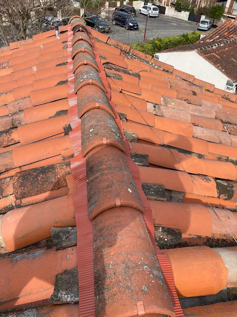 PHOTO 2024 11 22 03 13 02 5