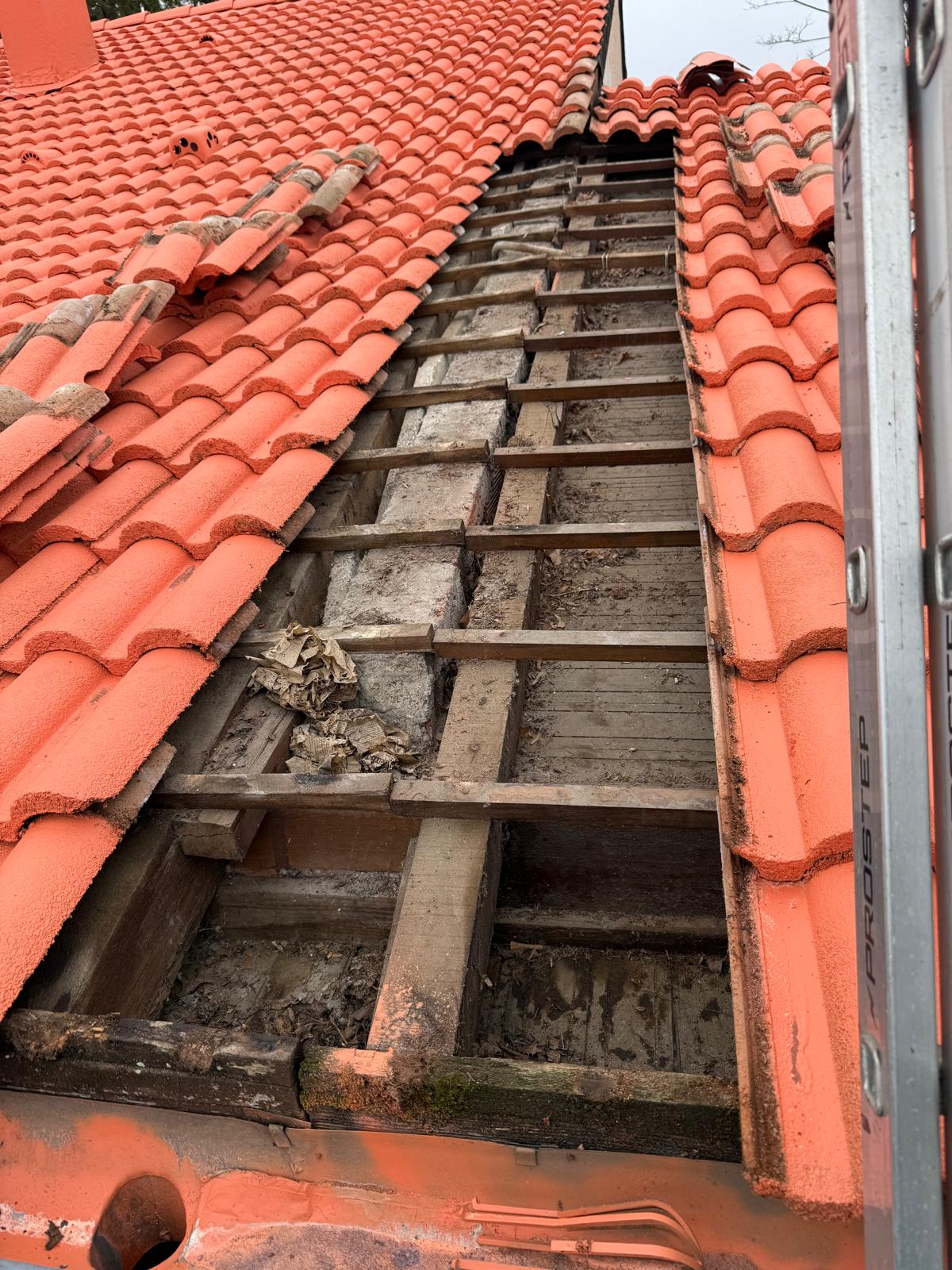 PHOTO 2024 12 27 20 05 16